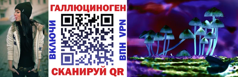 Галлюциногенные грибы мухоморы Будённовск